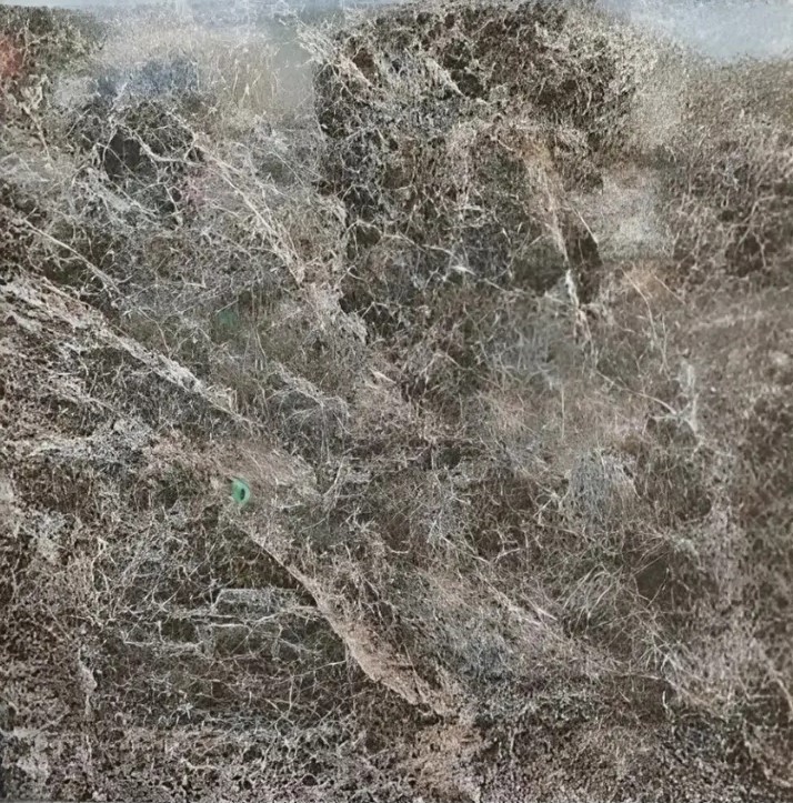 CONCORD 50X50 DOMINIKA NERO